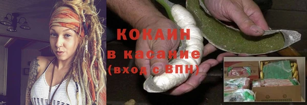 мяу мяу мука Дмитриев