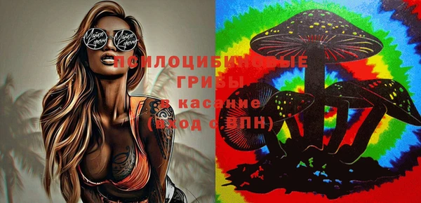 мяу мяу мука Дмитриев