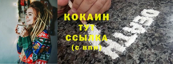 мяу мяу мука Дмитриев