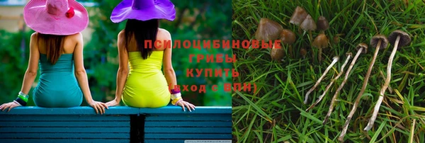 мяу мяу мука Дмитриев