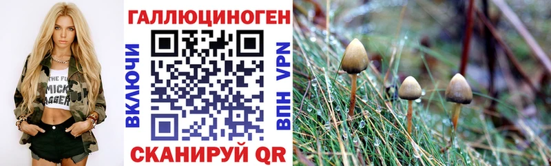 Галлюциногенные грибы прущие грибы Кызыл